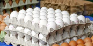 Господині поділилися 4 незвичайними способами використання лотків від яєць. Фото: Pixabay
