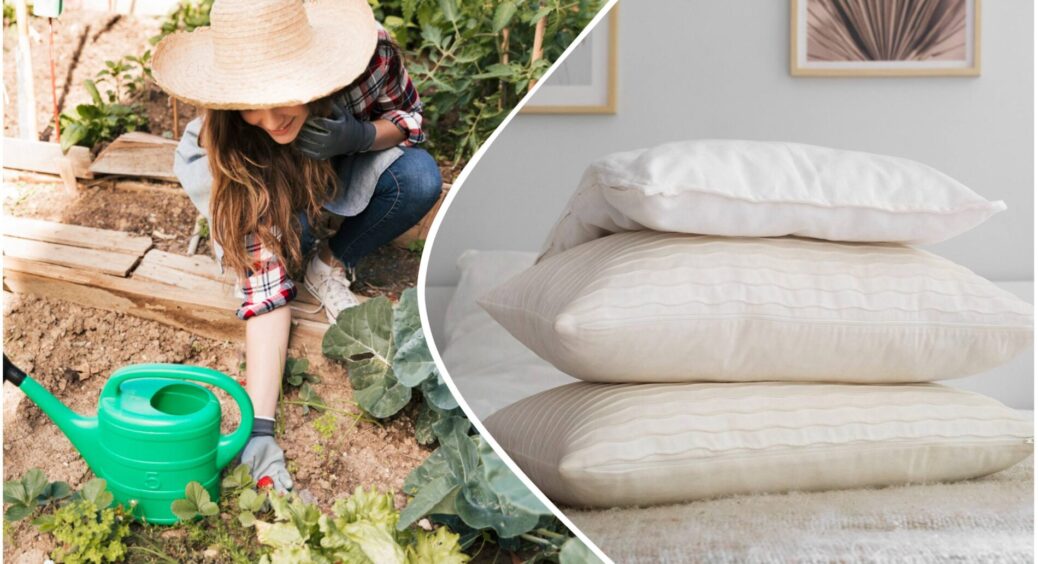 Розкидаю старі подушки по ділянці: сусіди роззявили рота, а тепер усі так роблять – ключ до рясного врожаю 