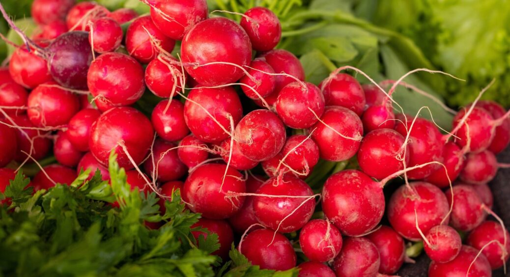 Не граюся з розсадою, а саджу зразу в ґрунт: моя редиска стала легендою села в Одеській області 