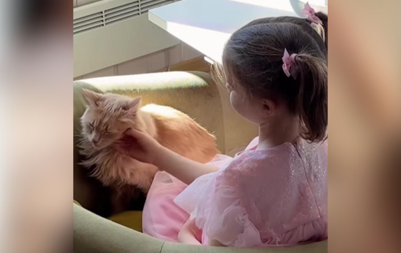 Наталія Могилевська повідомила, що стала котячою мамою. Фото: Instagram nataliya_mogilevskaya