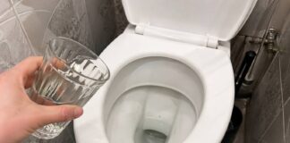 Господині розповіли, як легко відмити бруд у туалеті домашнім способом. Фото: Добрі новини