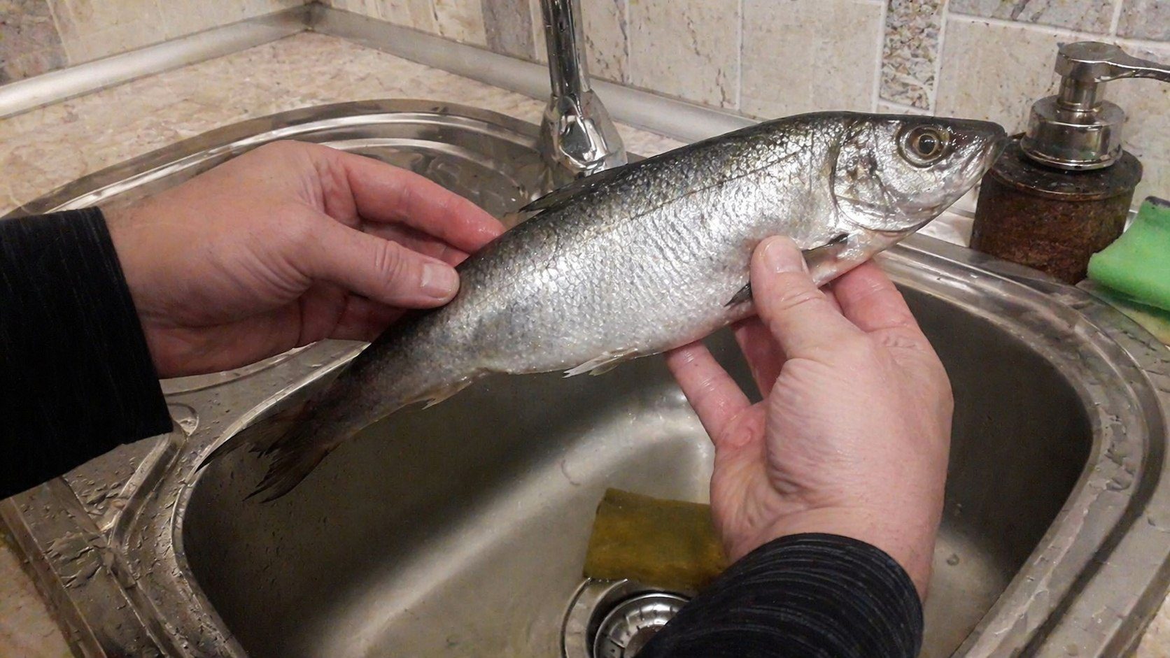 Господині розповіли, як точно визначити оселедець з ікрою. Фото: Добрі новини