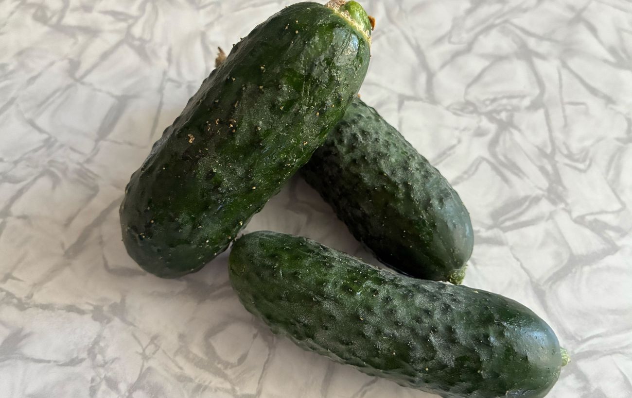 Городники порадили правильний спосіб пересадки розсади огірків. Фото: Добрі Новини