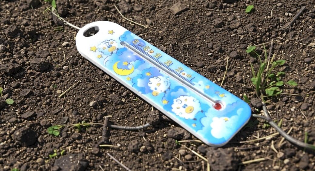 То холодно, то дощ: дачники розповіли, як прискорити прогрів ґрунту – використовують плівку або добрива 