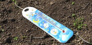 Городники розповіли, як прискорити прогрів ґрунту на грядках. Фото: Добрі новини