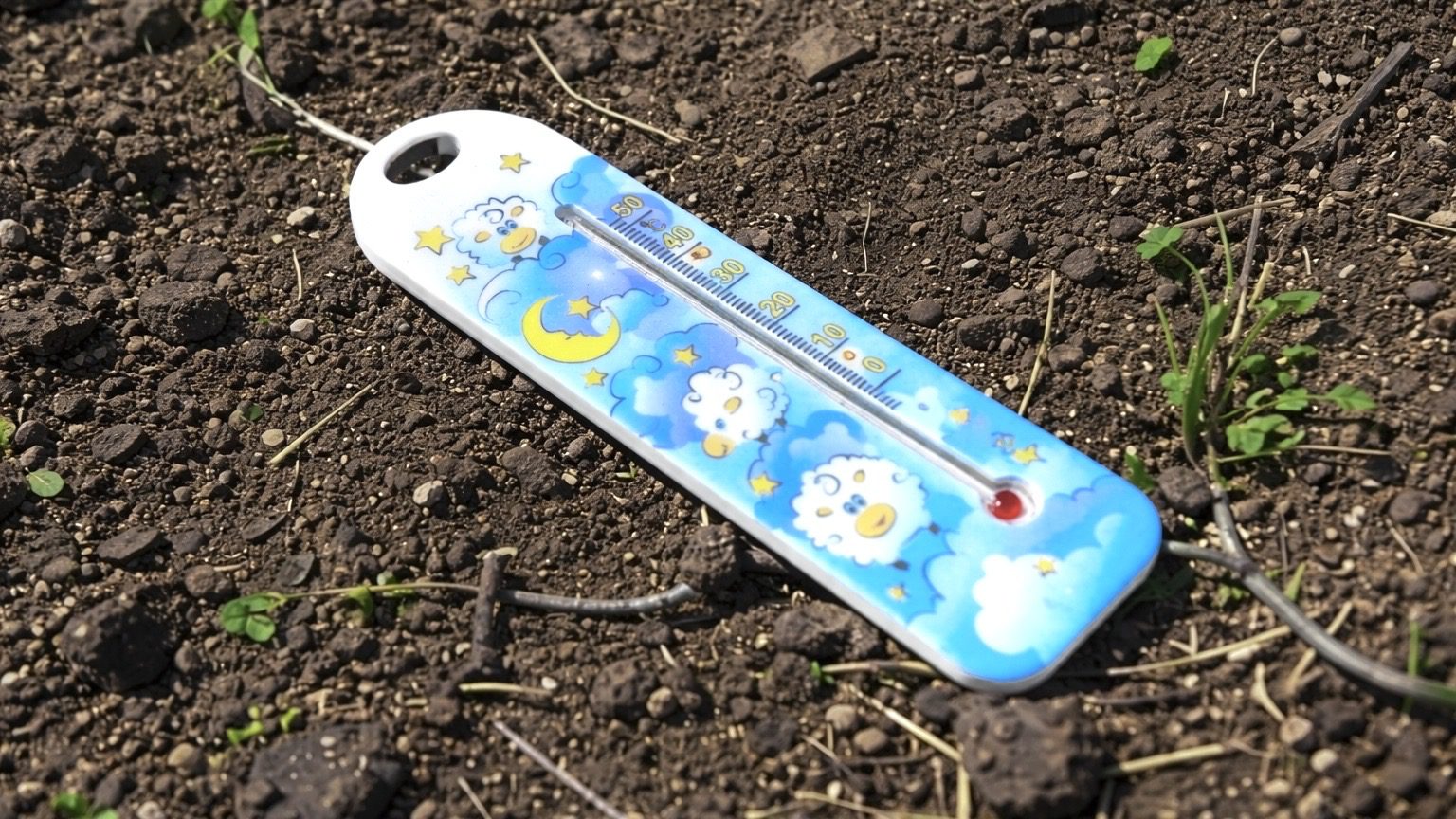 Городники розповіли, як правильно перевіряти температуру ґрунту. Фото: Добрі новини 