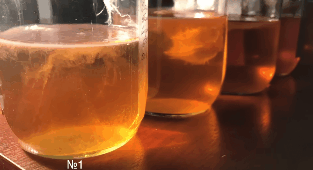 Не лийте оцет у чай і не чекайте дива: ось єдиний спосіб виростити комбучу, який працює з першого разу 