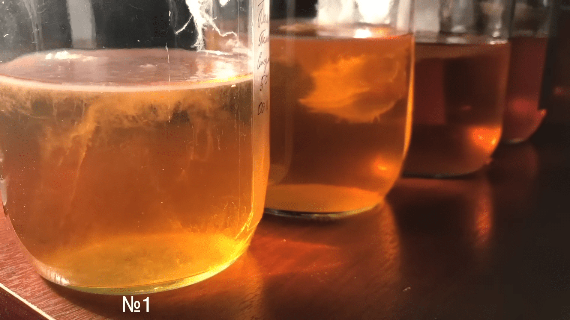 Експерти розповіли, як виростити чайний гриб з нуля. Фото: YouTube