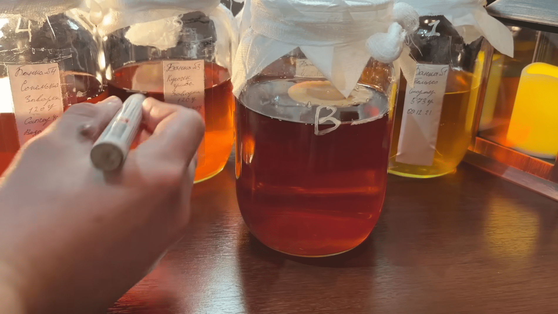 Експерти розповіли, як виростити чайний гриб з нуля. Фото: YouTube