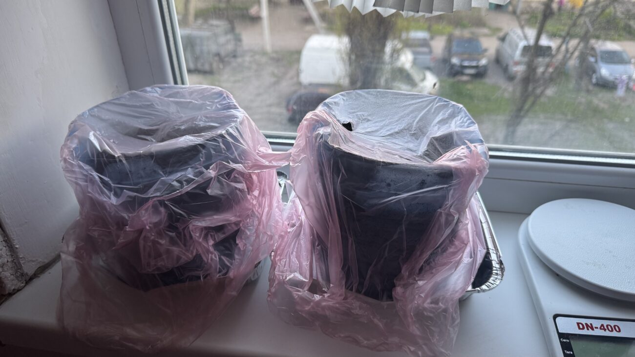 Городники назвали причину, чому розсада на підвіконні повільно сходить. Фото: Добрі новини 