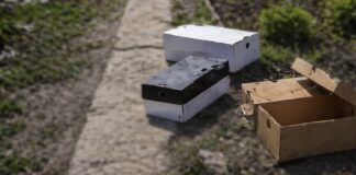 Городники розповіли, як використовувати на дачі старі коробки з-під взуття. Фото: Добрі новини 