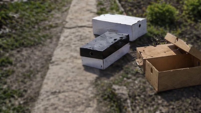 Городники розповіли, як використовувати на дачі старі коробки з-під взуття. Фото: Добрі новини 