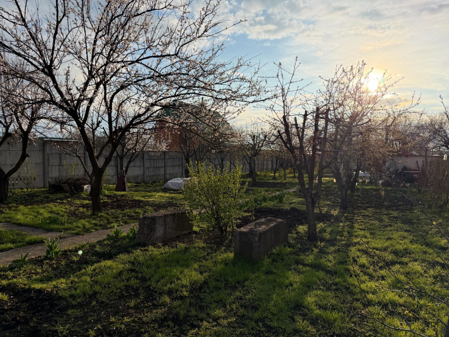 Коли у квітні не можна працювати на городі. Фото: Добрі Новини