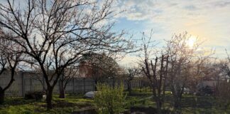 Коли у квітні не можна працювати на городі. Фото: Добрі Новини