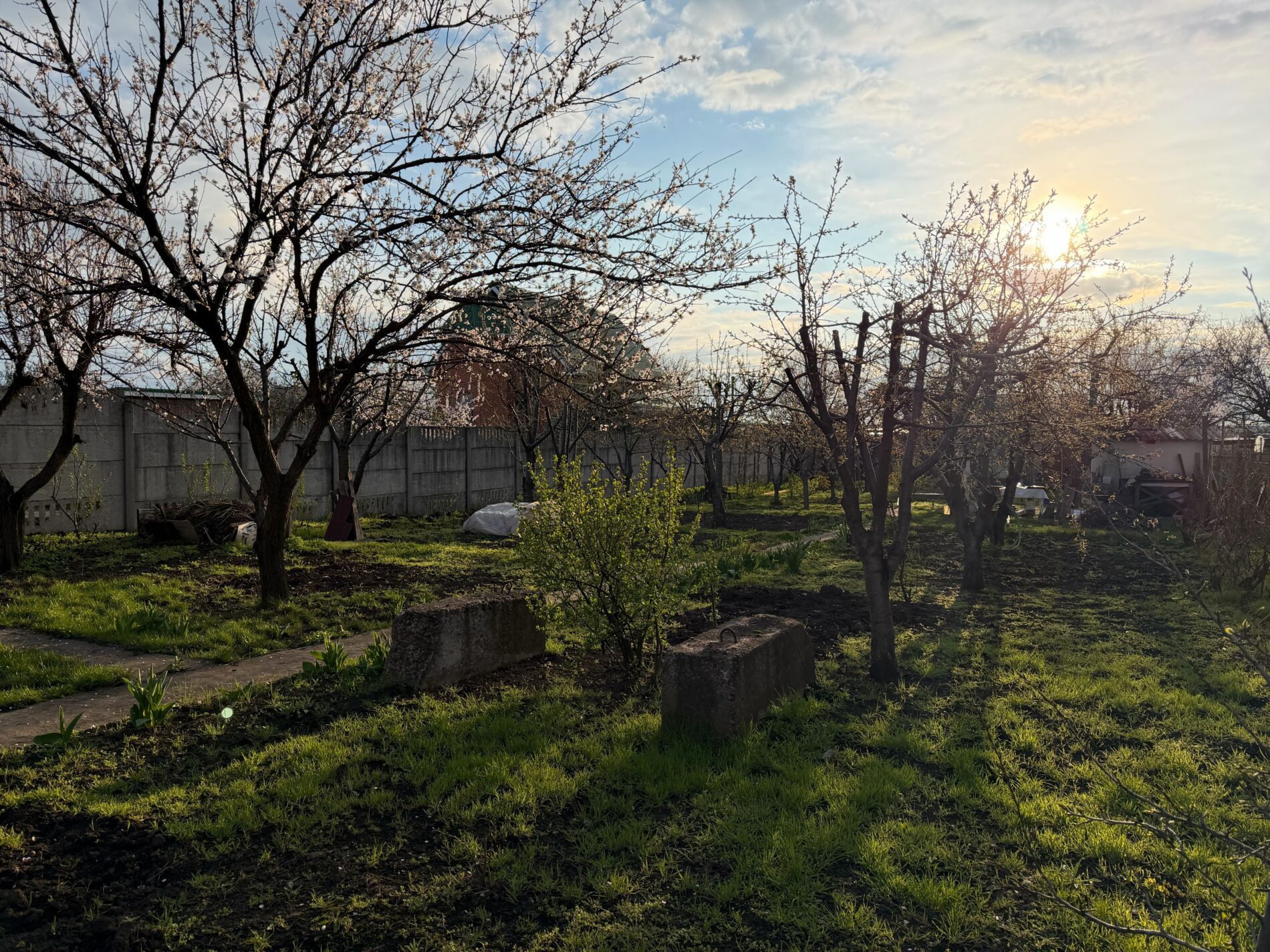 Коли у квітні не можна працювати на городі. Фото: Добрі Новини