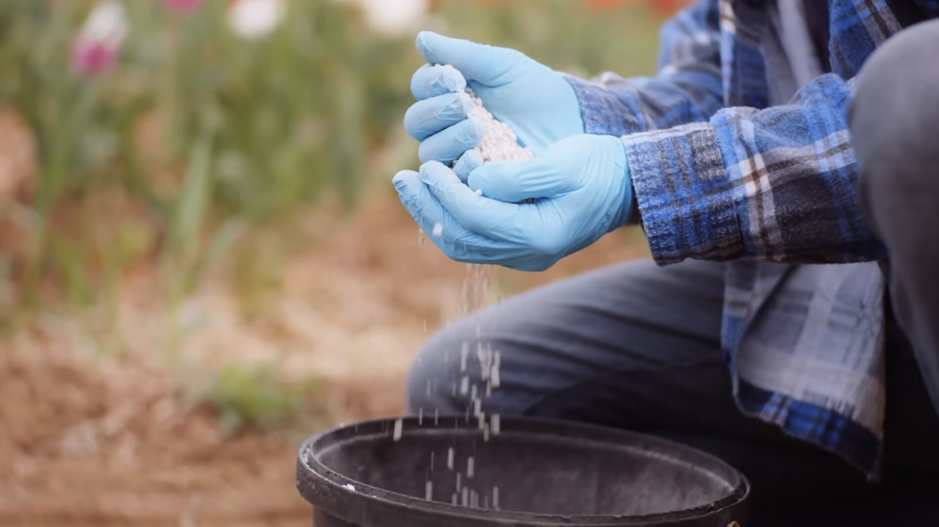 Городники розповіли, чим підживити ґрунт у квітні. Фото: YouTube-канал NASINTRAV 