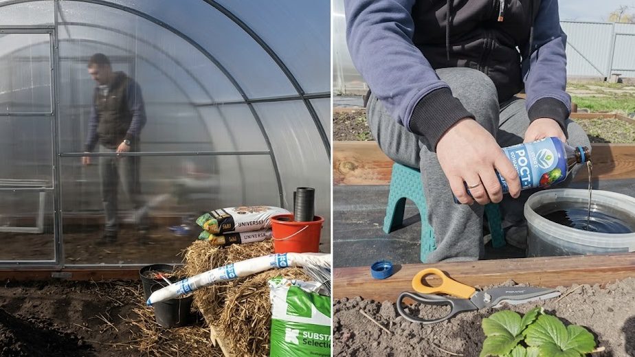 Городники розповіли, що садити у квітні в теплицю, а що у відкритий ґрунт. Фото: YouTube Наша Дача 