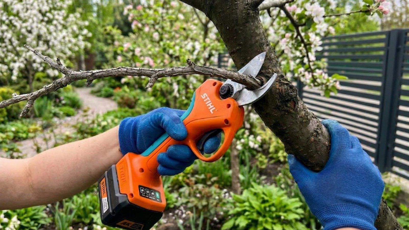 Акумуляторний секатор значно полегшує роботу в саду та робить зрізи акуратнішими