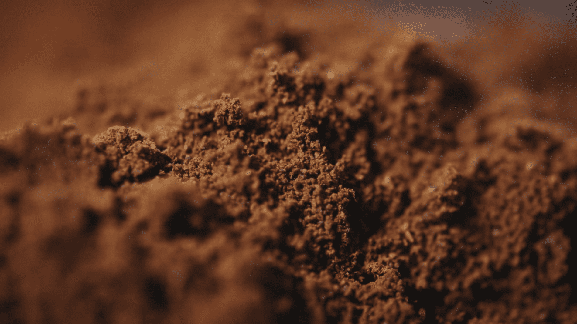 Городники розповіли, як використовувати жмих від кави. Фото: YouTube/Городниця з Одеси