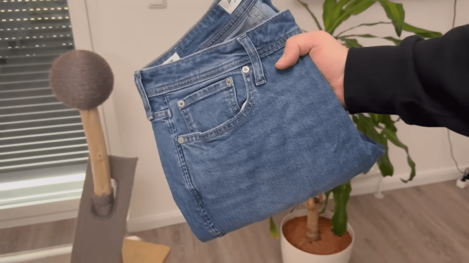 Експерти розповіли, навіщо на джинсах маленька кишеня. Фото: YouTube/Smart Fox