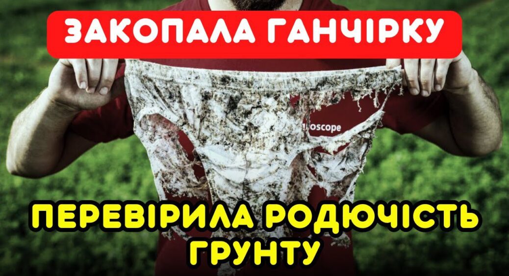 Закопала старі труси на городі і він сам показав, де треба компост, а де і так добре росте: метод на 10 з 10 