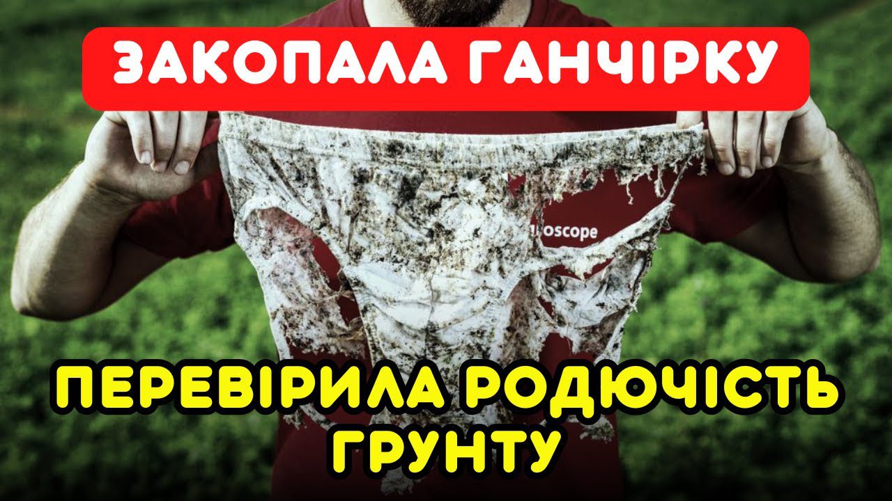 Городники назвали цікавий і простий спосіб перевірки родючості ґрунту Фото:YouTube/Городниця з Одеси