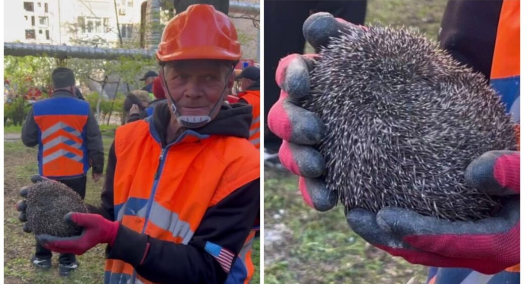В Дніпрі комунальники врятували їжака, який опинився не в той час не в тому місці 