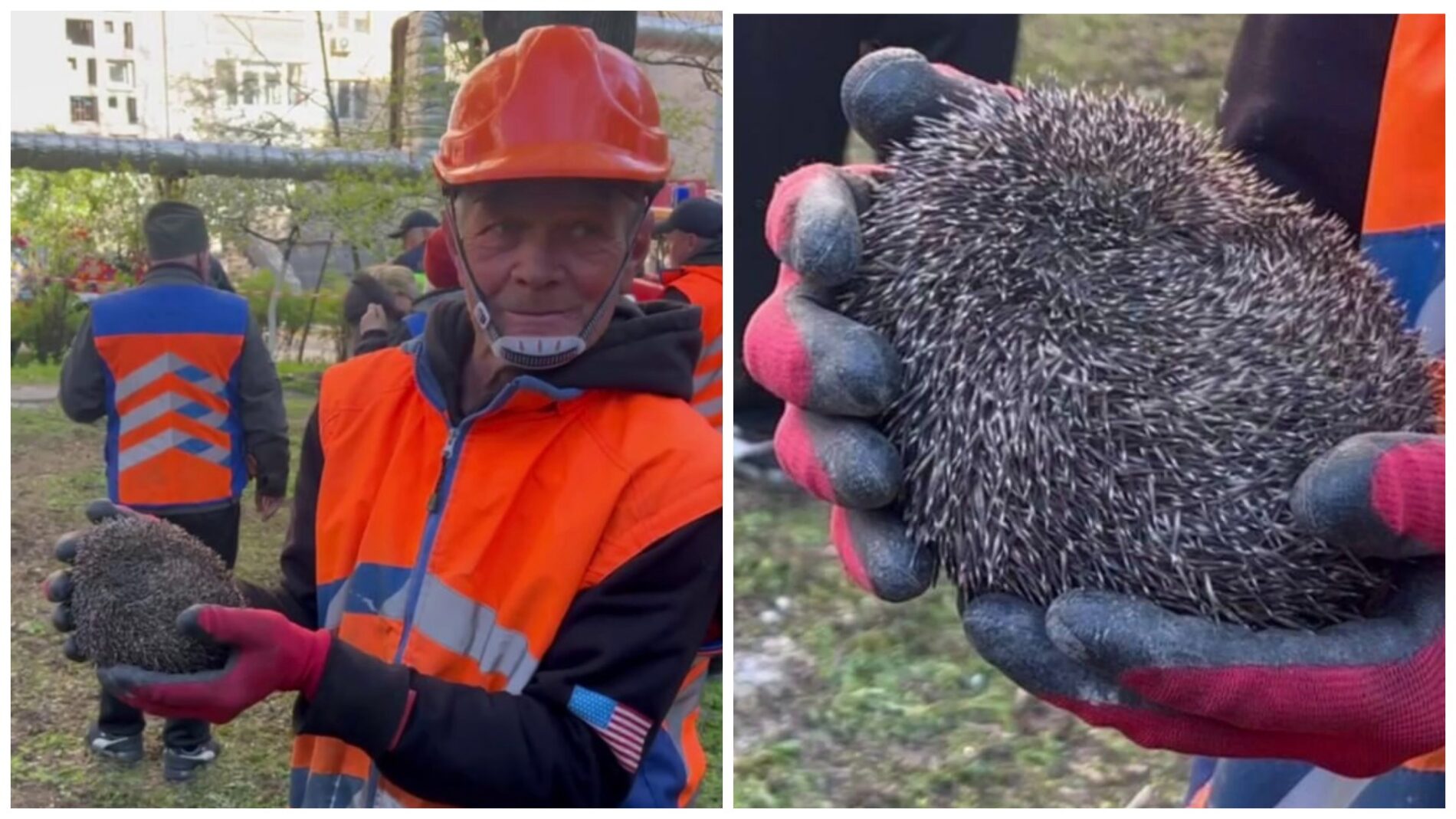 Комунальні служби Дніпра врятували їжака на місці падіння уламків. Фото: Суспільне Дніпро