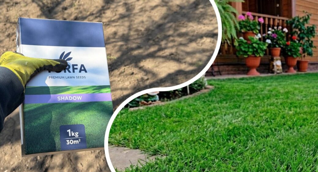 Газон у квітні: ось ці 3 речі суворо необхідно зробити до першого поливу – зійде густий килим без залисин 