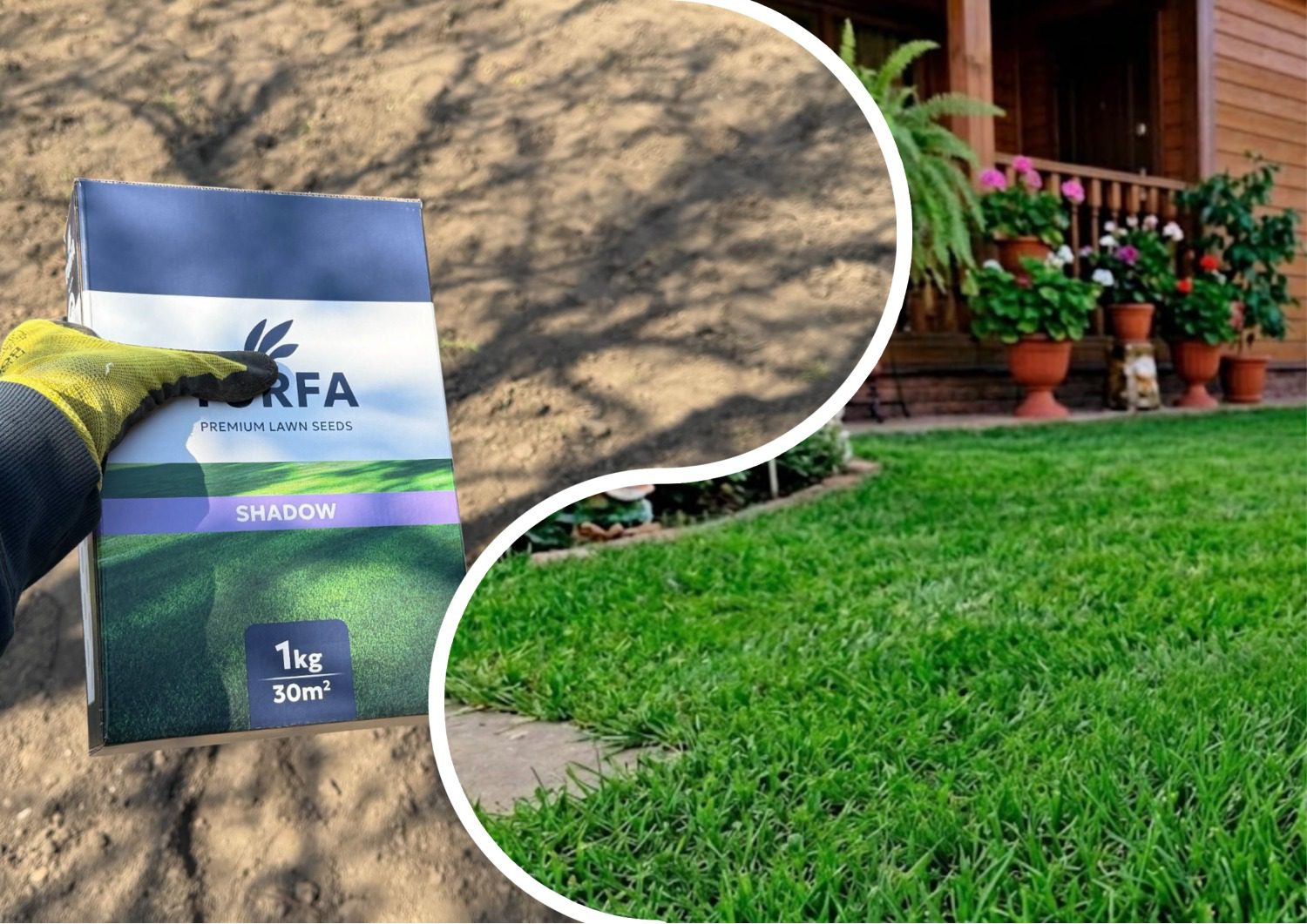 Садівники поділилися секретами гарного газону. Фото: Добрі новини