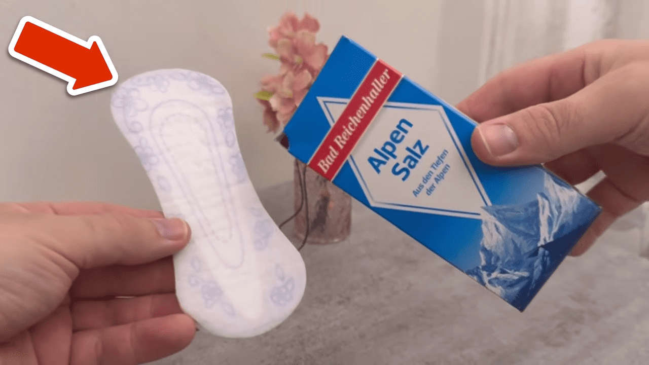 Експерти назвали цікавий спосіб змайструвати аромадифузор вдома. Фото: YouTube/Smart Fox