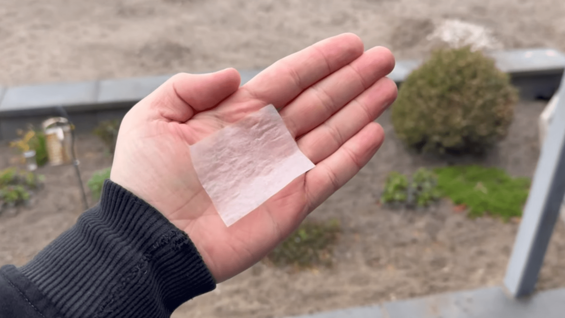 Експерти розповіли, як легко зробити 