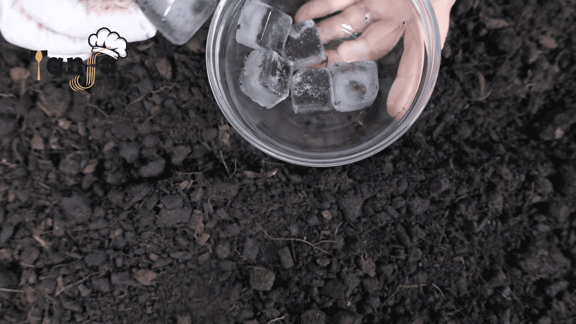 Городники назвали цікавий спосіб посіву моркви на грядках. Фото: YouTube