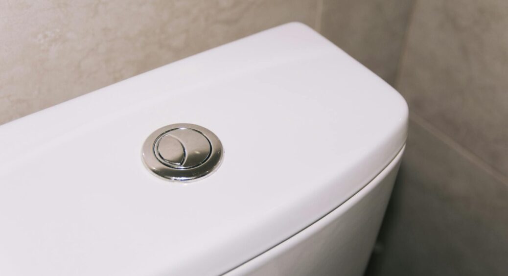 Поклала в унітаз лавровий лист – і душа спокійна: якби я знала раніше, то нормально б так зекономила 