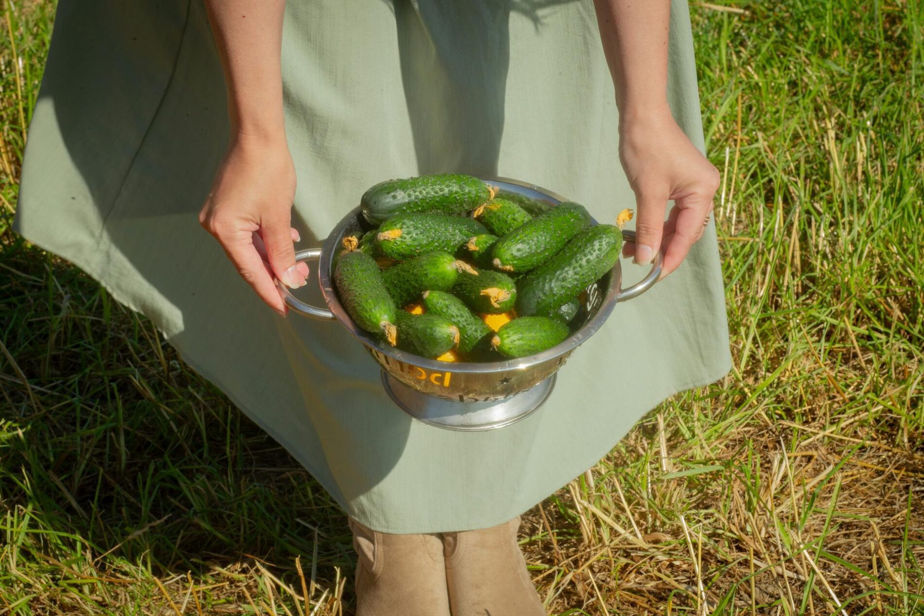 Як замочувати насіння огірків. Фото: Pexels