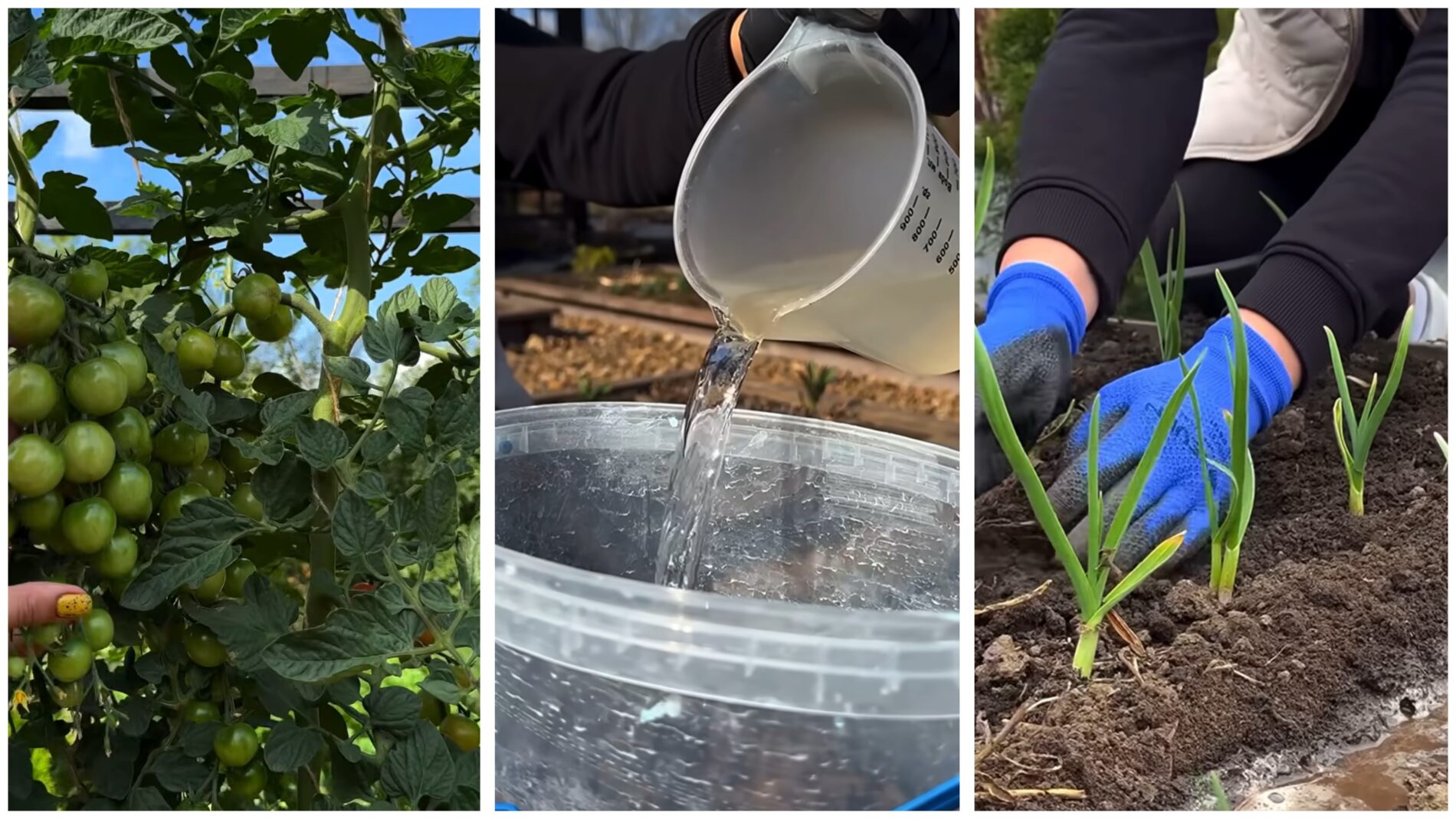 Городники розповіли, у які дні квітня не можна займатися дачними роботами. Фото: YouTube-канал Корисні корисності 