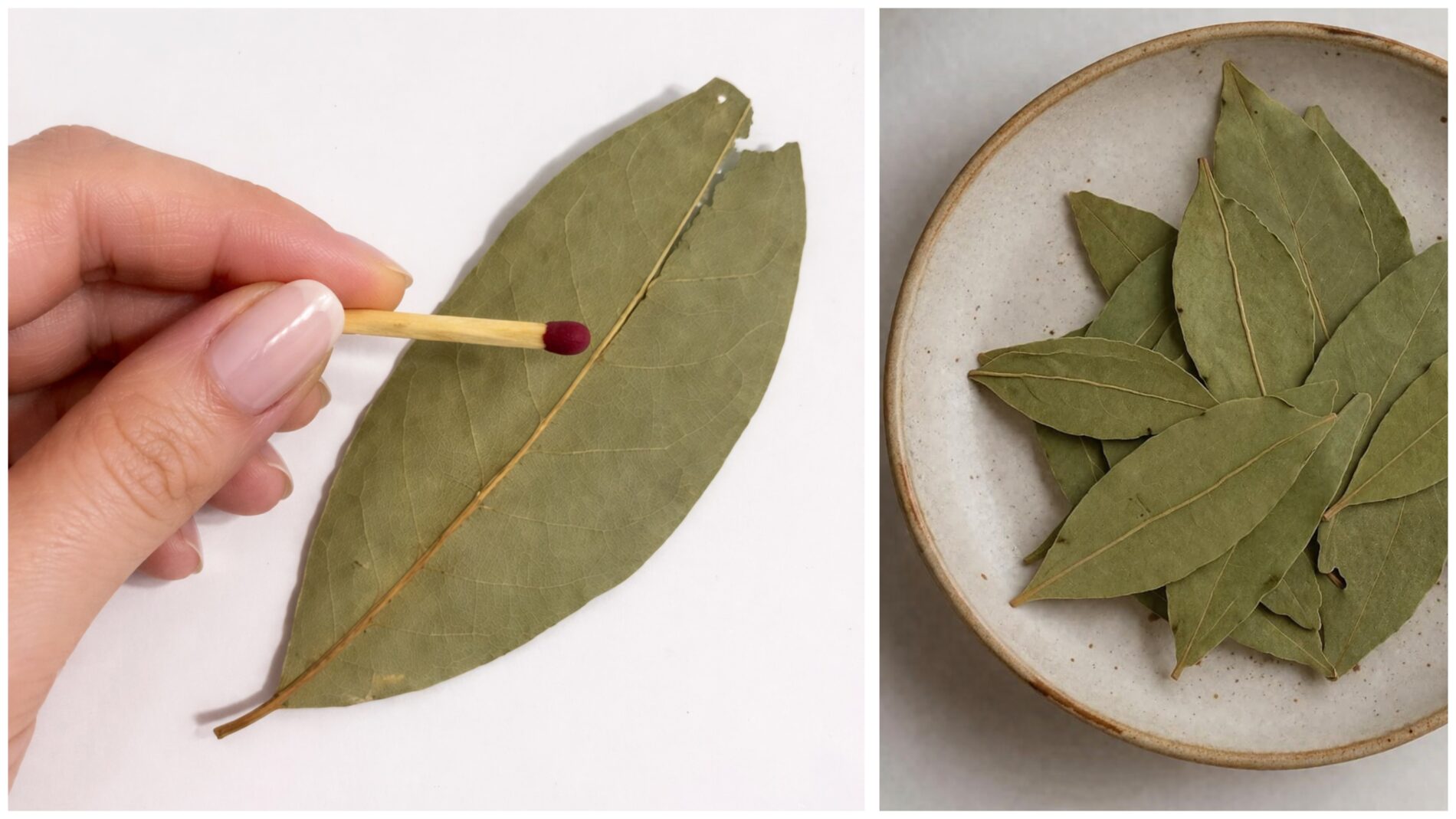 Господині розповіли, як використовувати лавровий лист для очищення оселі. Фото: Добрі новини  