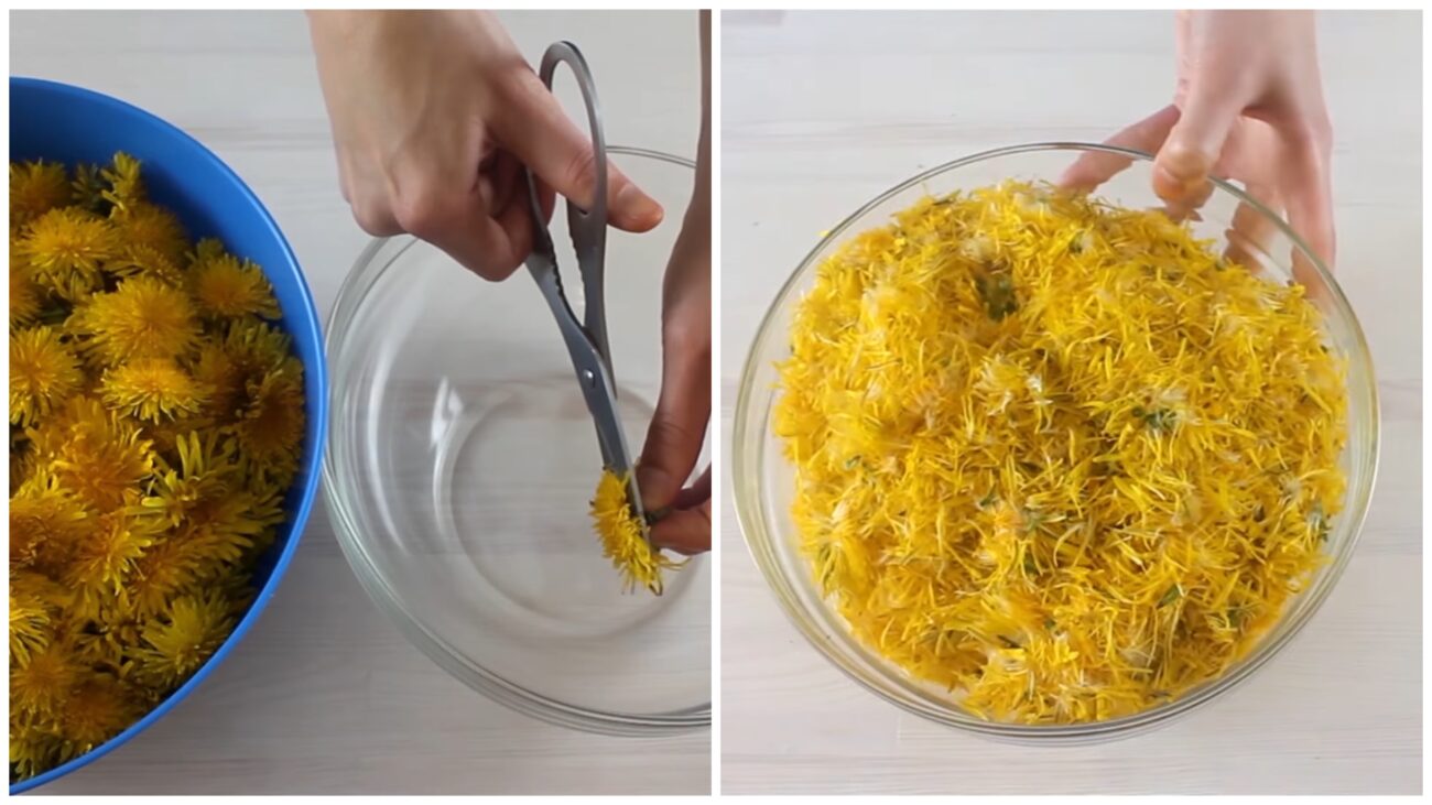 Господині розповіли, як приготувати сезонне варення з квіток кульбаби. Фото: YouTube Українське вариво 