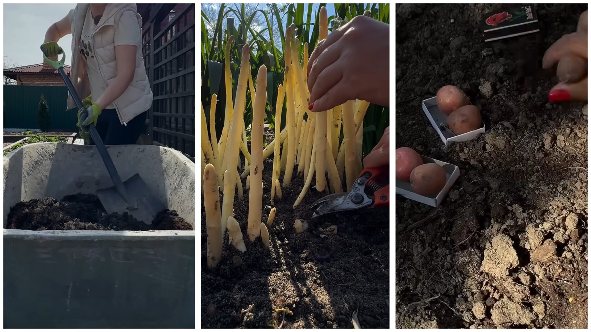Городники нагадали про дні перед Великоднем, коли не можна працювати на дачі. Фото: YouTube Корисні корисності