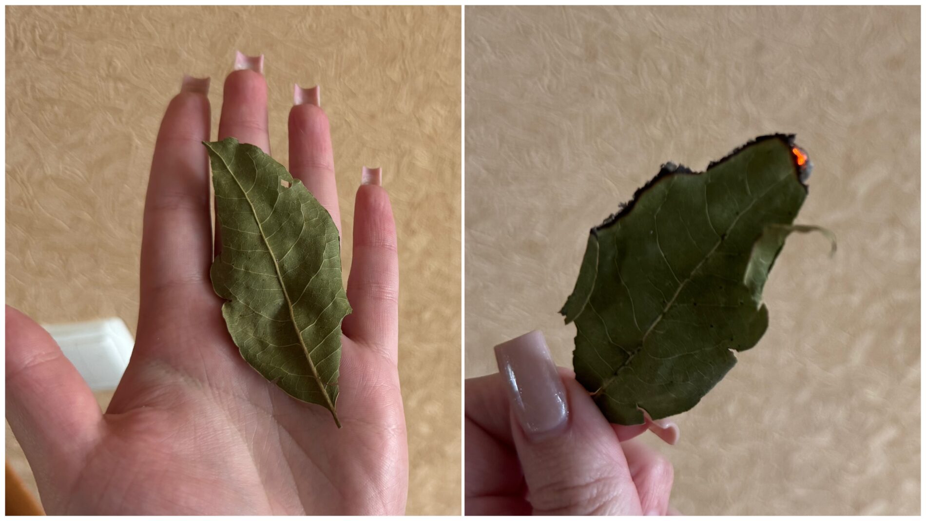 Господині розповіли, як провести ритуал для приваблення грошей та добробуту. Фото: Добрі новини  