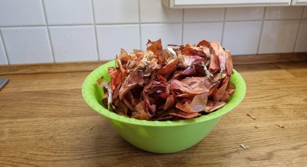 Збираю цибулеве лушпиння по селу і бережу, як золото: цього підживлення вистачає на весь город до осені 