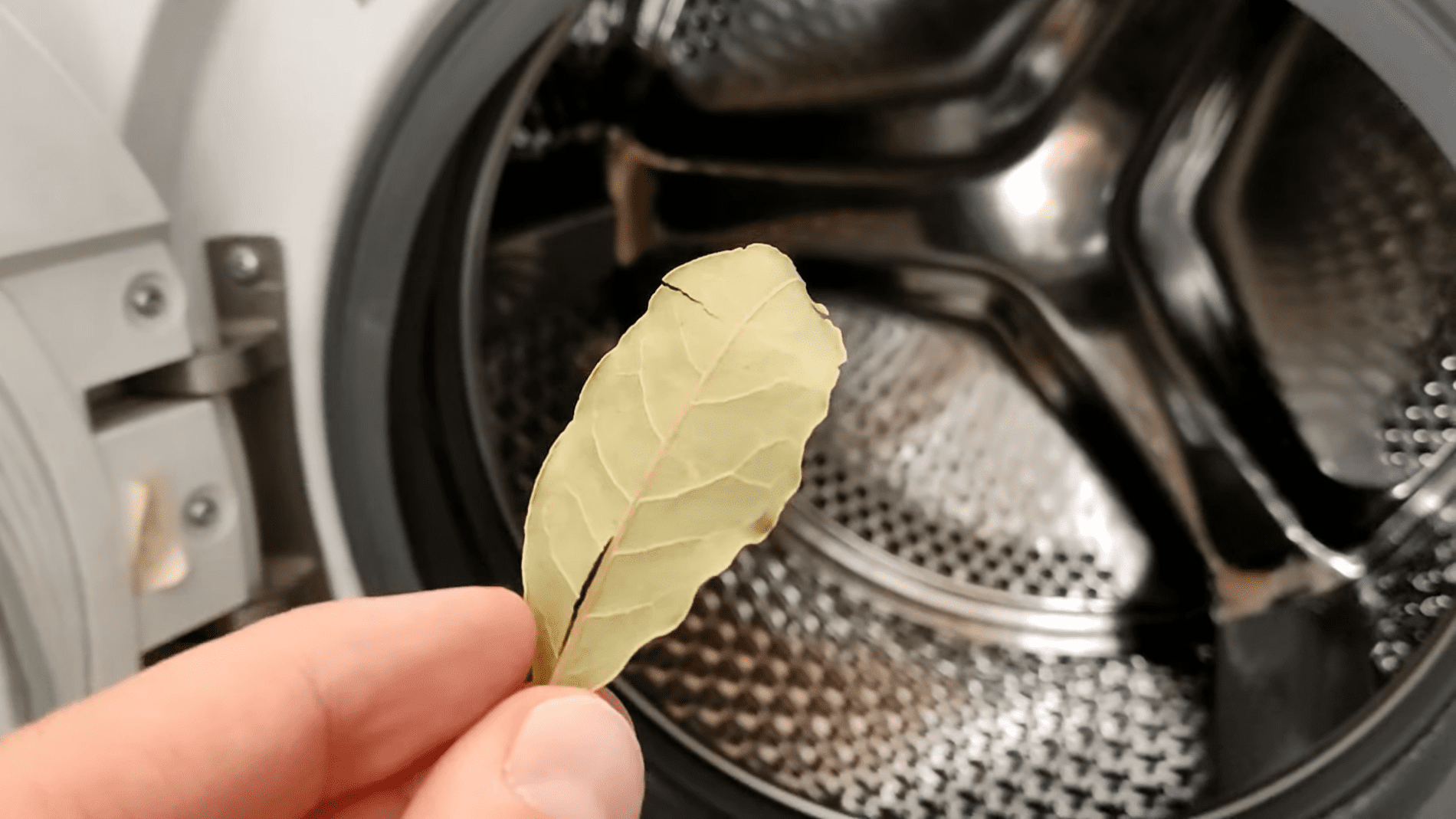Експерти розповіли, як освіжити білизну за допомогою лаврового листа. Фото:YouTube/PRIRODNOZDRAVLJE