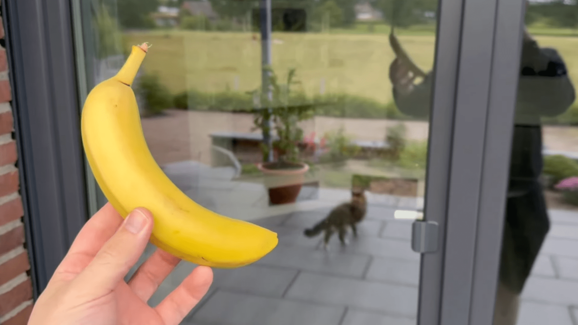 Експерти розповіли про незвичний, але дієвий спосіб миття вікон. Фото:YouTube