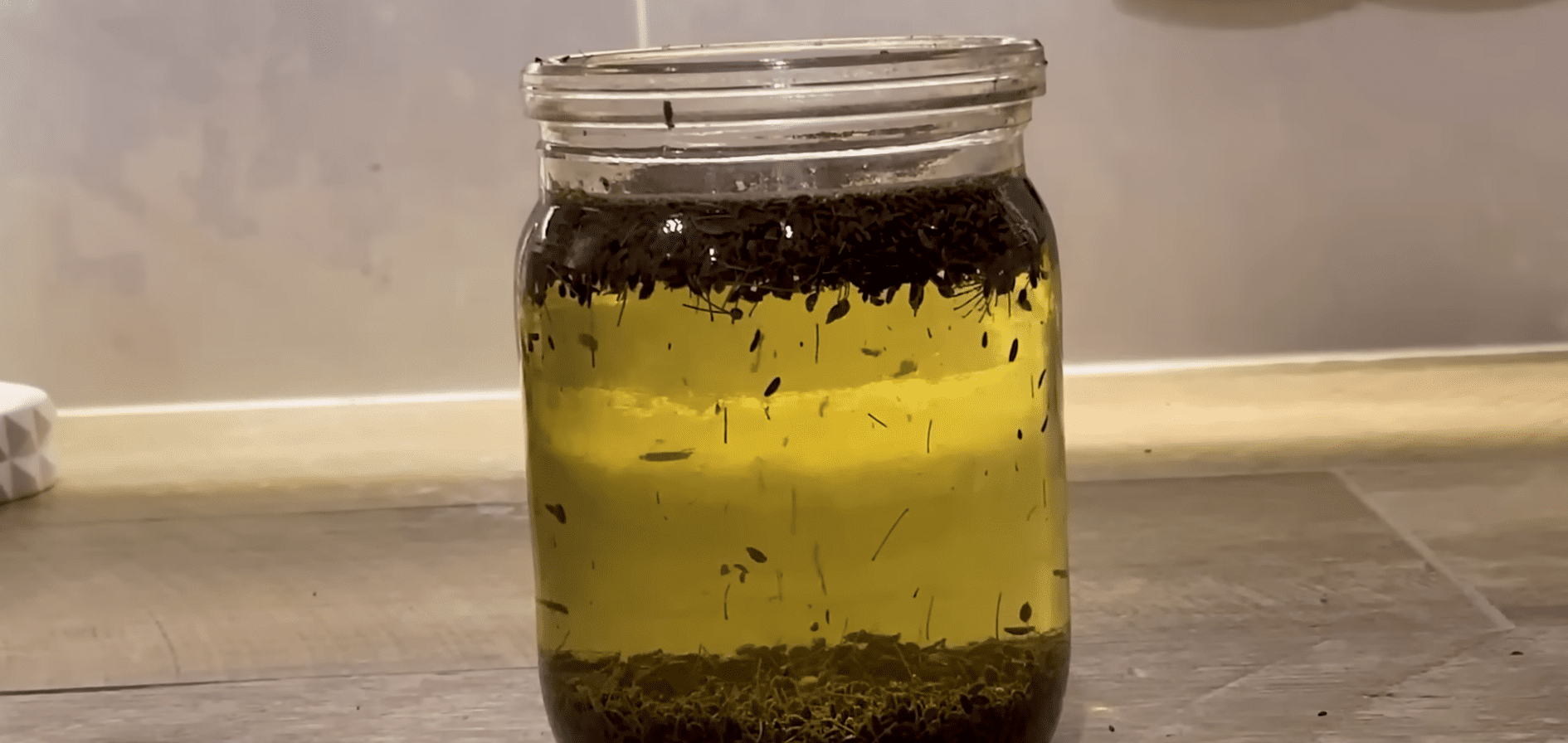 Експерти розповіли, як швидко проростити кріп на городі. Фото: YouTube/Корисне TV