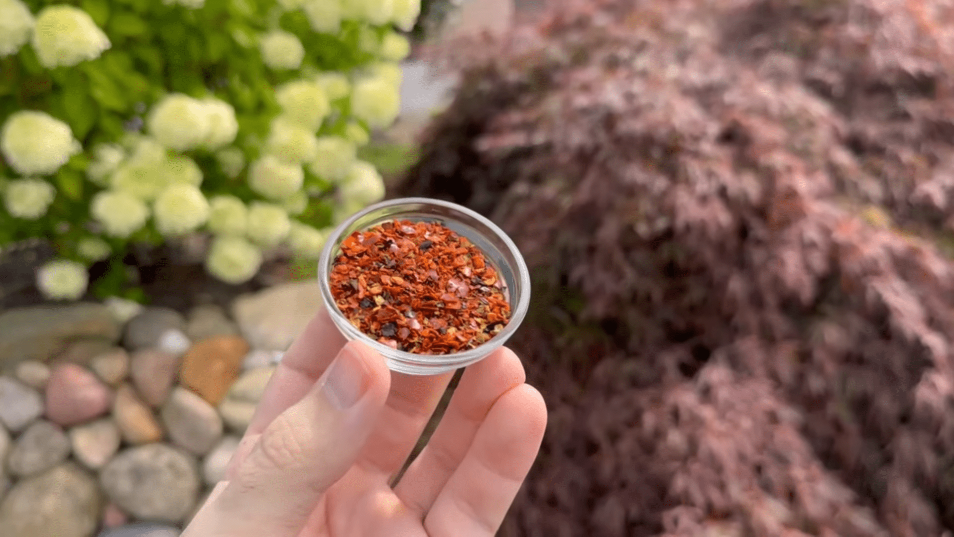 Городники розповіли про простий спосіб захисту рослин від шкідників. Фото: YouTube/Smart Fox