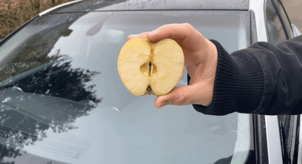 Розрізала яблуко навпіл і натерла лобове скло – вода скочується як з качки: про це мовчать у автошколі 