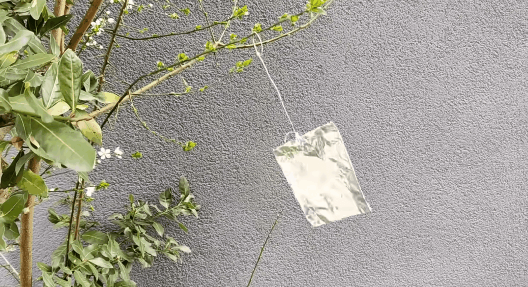 Повісила шматок фольги на гілки – і птахи, що нищили сад роками, облітають ділянку стороною: коштує 0 грн 