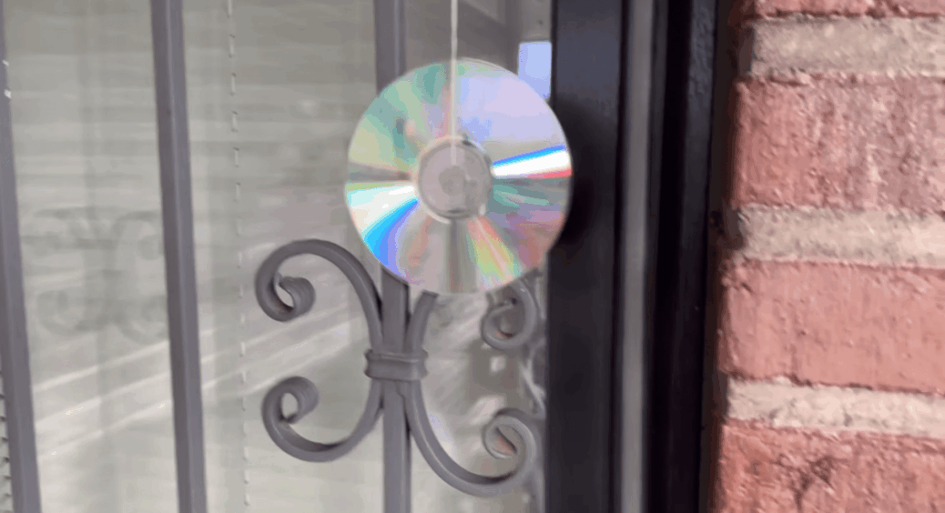 Не викидаю диски в смітник – це 1000 грн економії на фумігаторах: вішаю на нитку і жодних комах вдома 