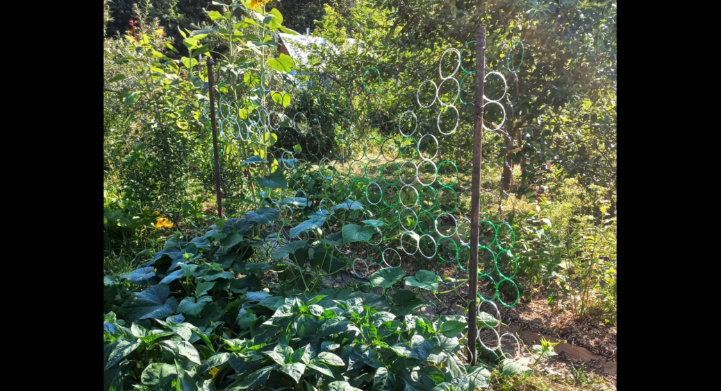 Нарізала 5 пластикових пляшок смужками і сплела садову сітку – сусід-городник аж підстрибнув 