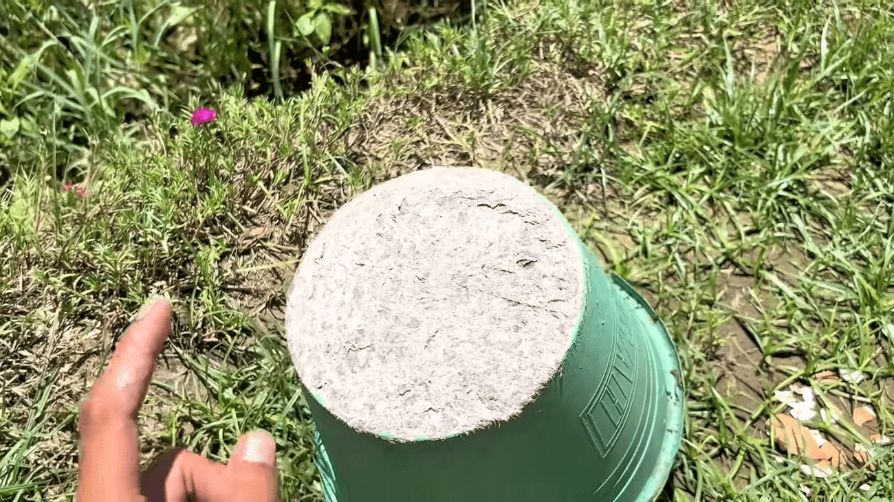 Експерти розповіли, як використати лотки з-під яєць з користю. Фото: YouTube/Secret Trick